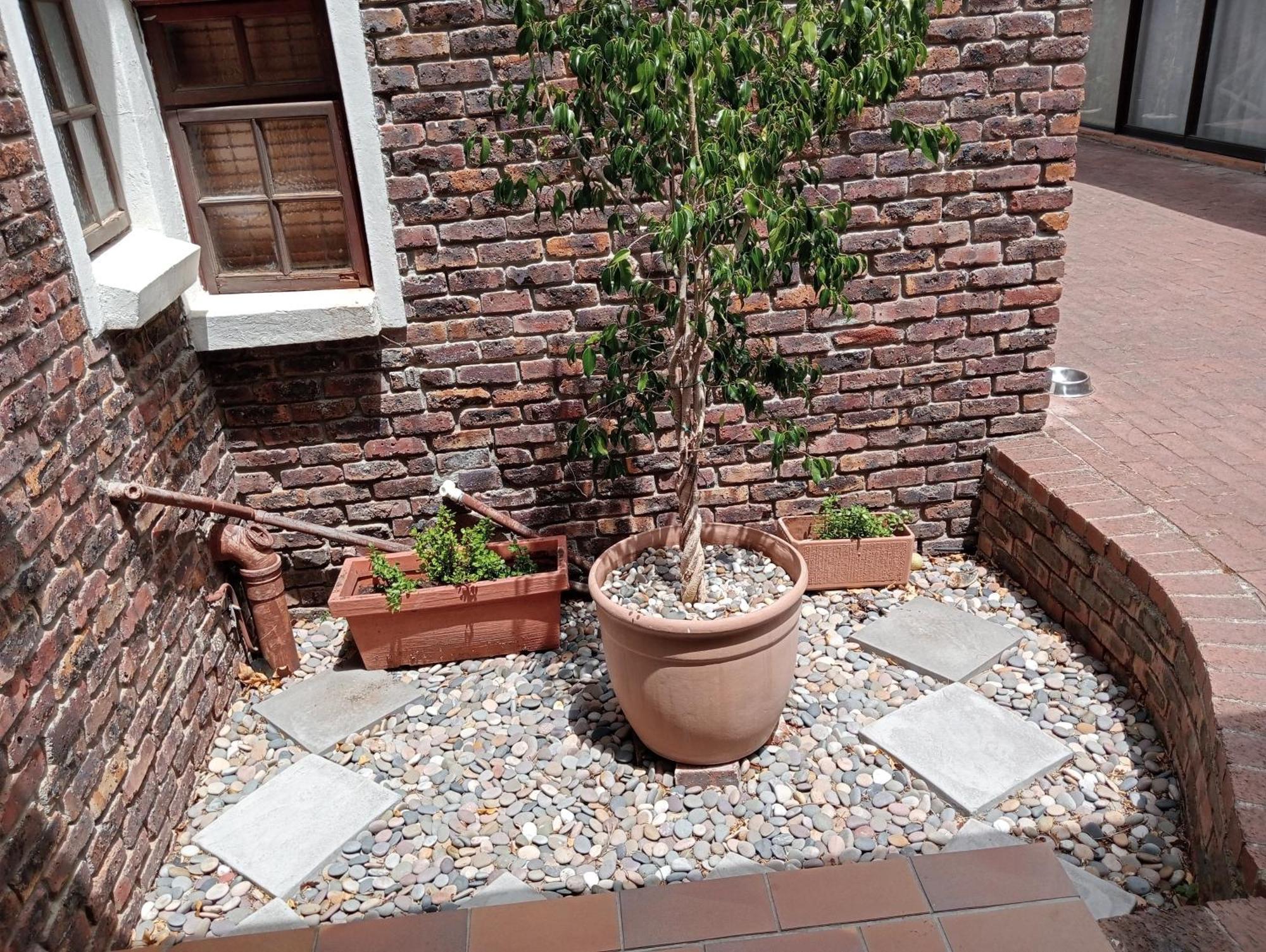 קייפטאון Marinda'S B&B מראה חיצוני תמונה