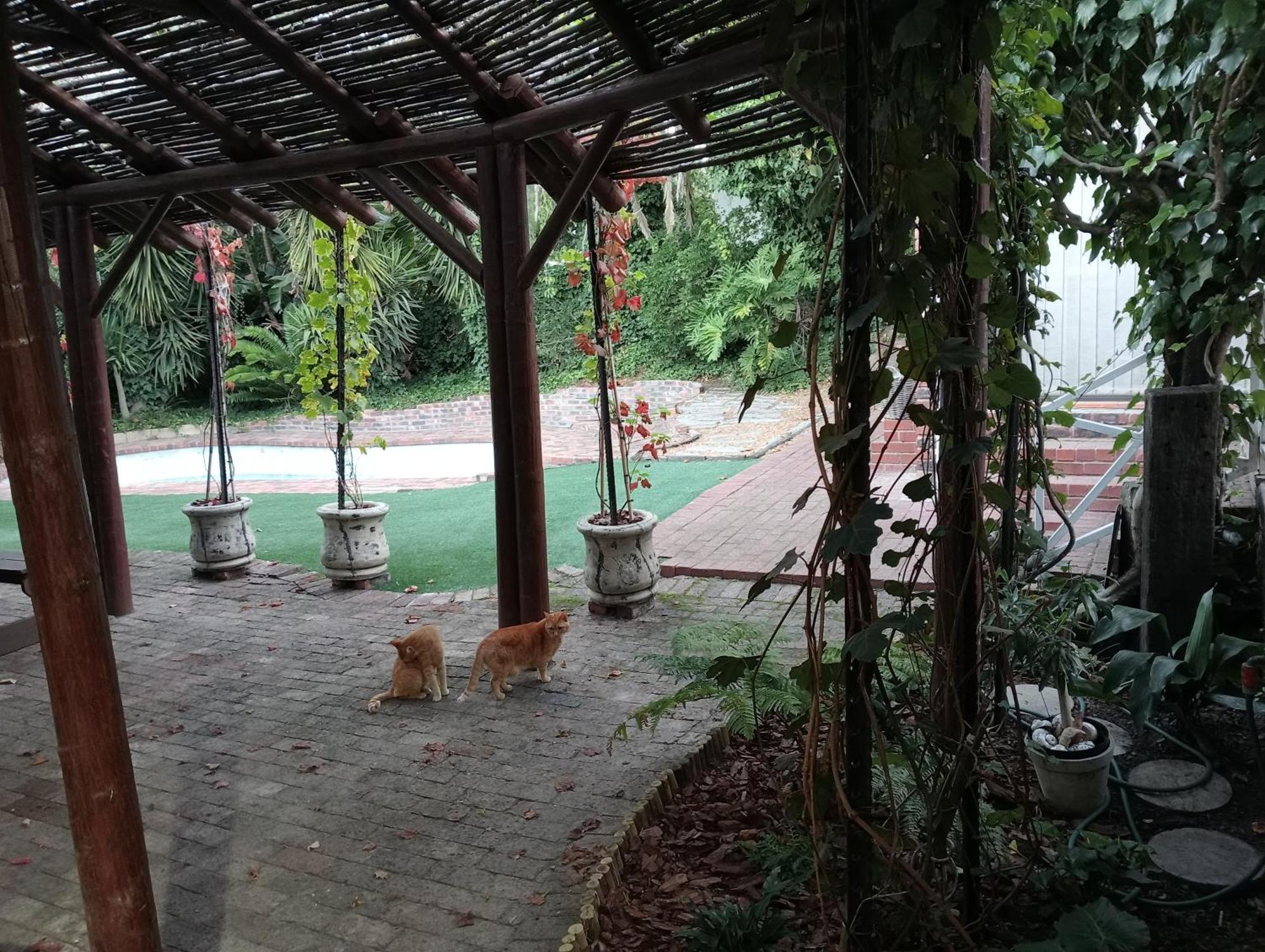 קייפטאון Marinda'S B&B מראה חיצוני תמונה